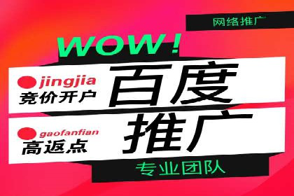 百度竞价包年推广的成效：某公司业务增长案例